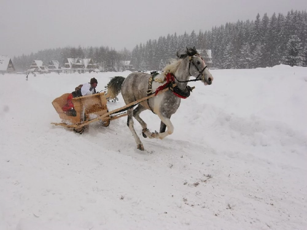 Top 10 aktywności na weekend pod Tatrami