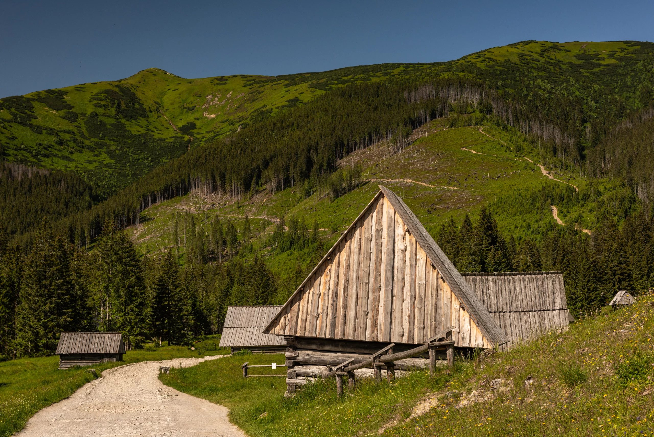 Top 10 aktywności na weekend pod Tatrami