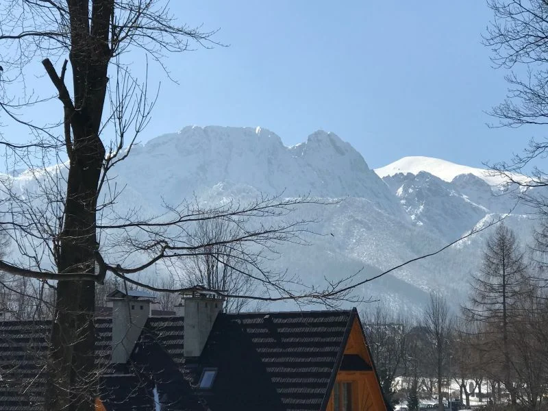Apartament Montana
